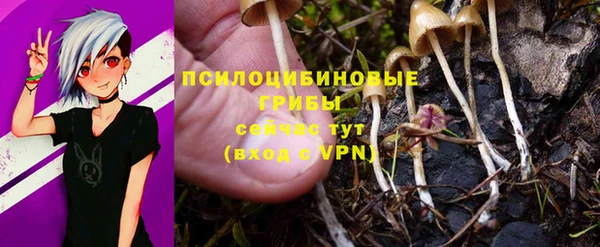 ешки Заволжск