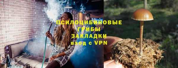 ALPHA PVP Ельня