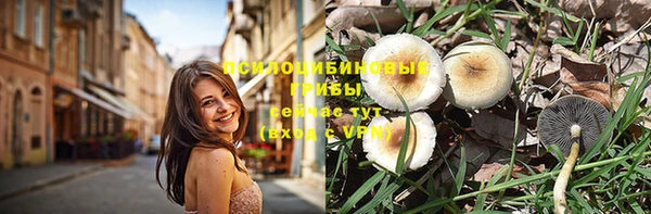 экстази Заводоуковск