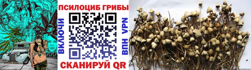 Купить где  Мамоново  Псилоцибиновые грибы ЛСД 